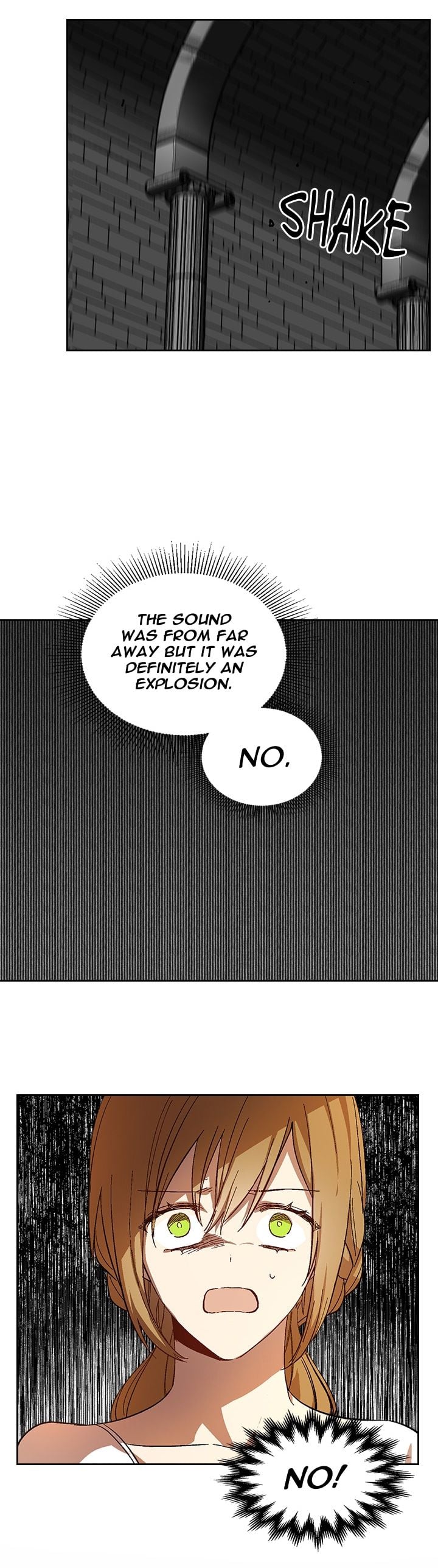 The Reason Why Raeliana Ended up at the Duke’s Mansion Chapter 106 - page 15