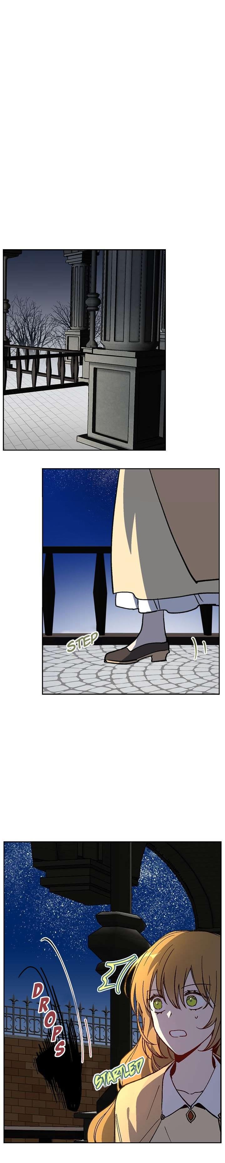 The Reason Why Raeliana Ended up at the Duke’s Mansion Chapter 64 - page 16