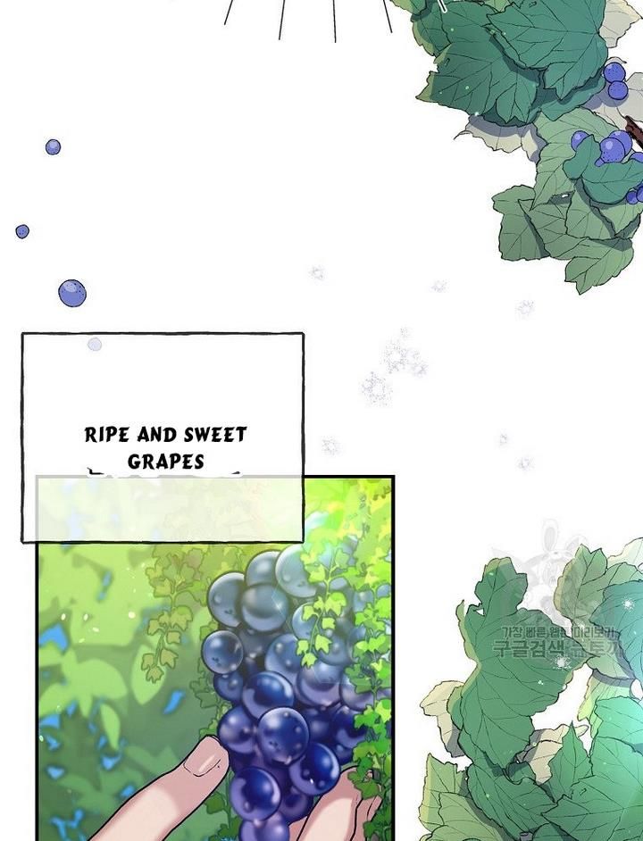 The Hero is Standing in My Way chapter 17 - page 15