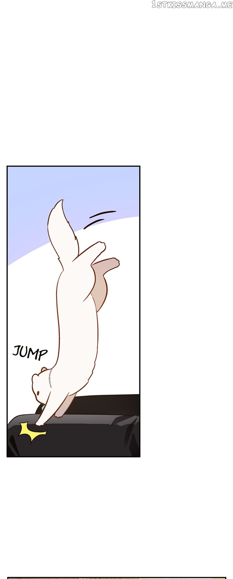 Death To The White Ferret Weasel Chapter 62 - page 10