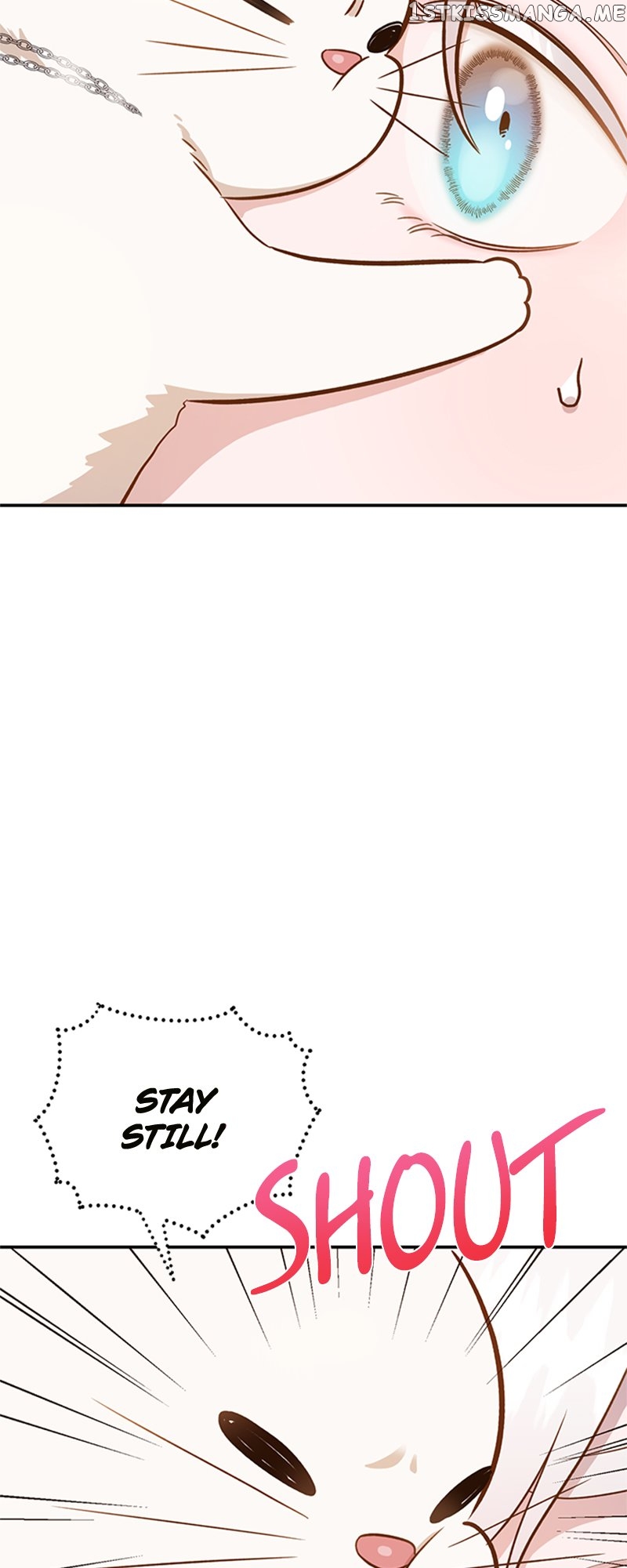 Death To The White Ferret Weasel Chapter 62 - page 3