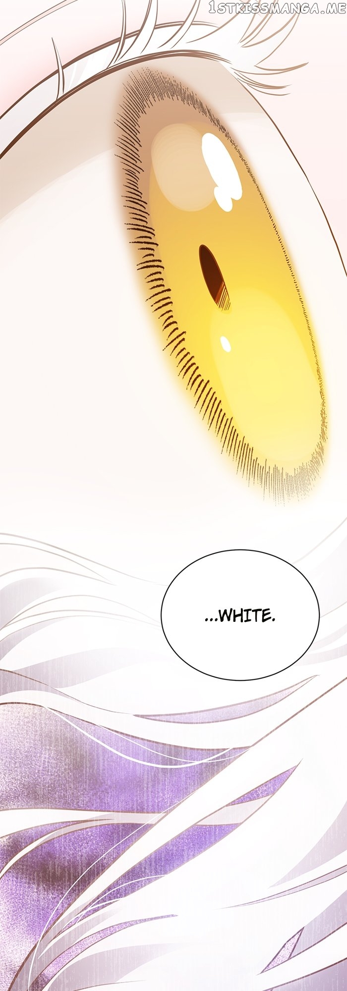 Death To The White Ferret Weasel Chapter 61 - page 38