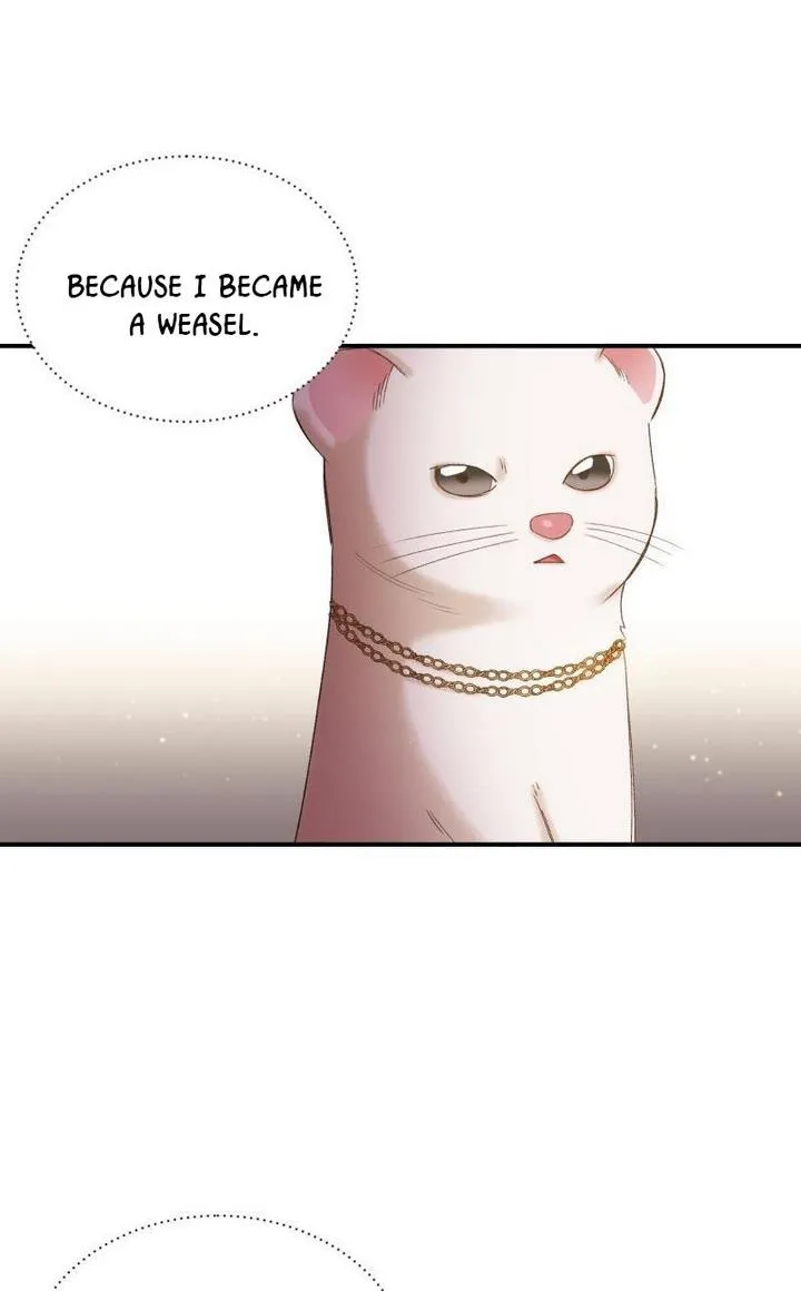 Death To The White Ferret Weasel Chapter 16 - page 21