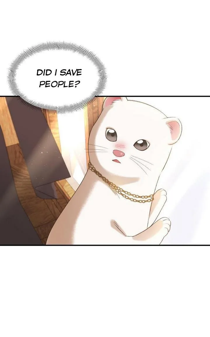 Death To The White Ferret Weasel Chapter 14 - page 62