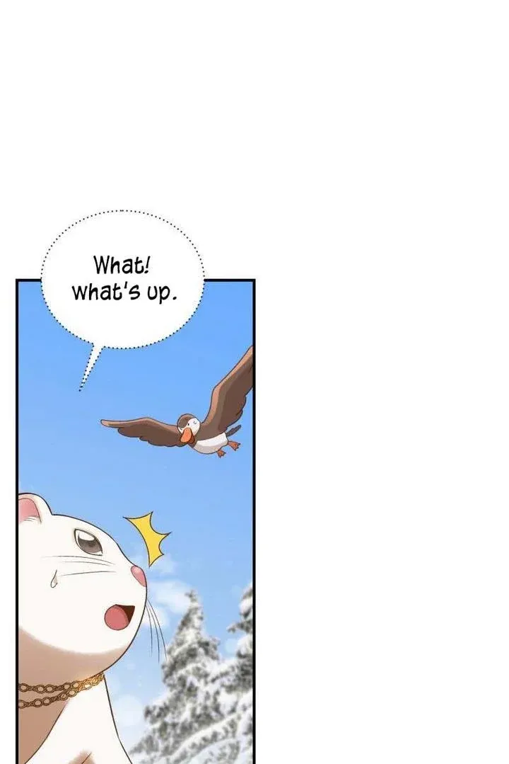 Death To The White Ferret Weasel Chapter 13 - page 13