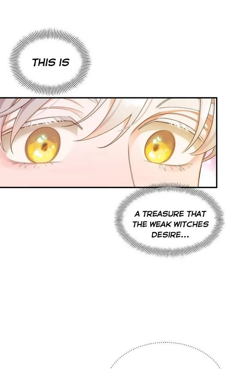 Death To The White Ferret Weasel Chapter 12 - page 4