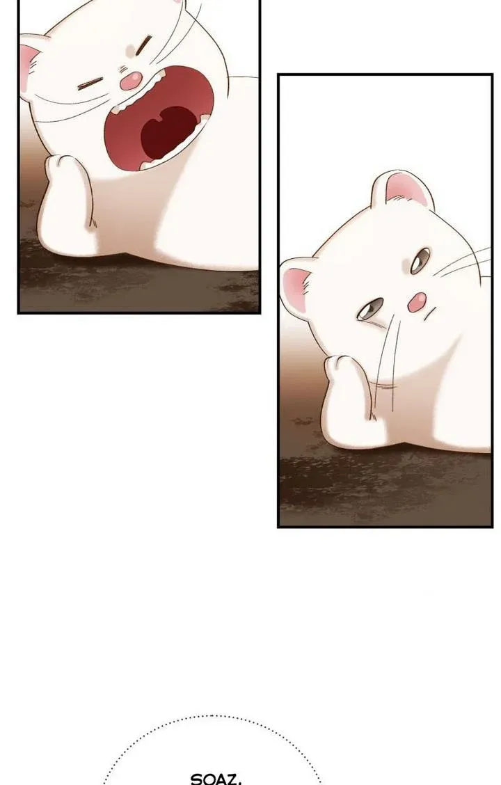 Death To The White Ferret Weasel Chapter 10 - page 18