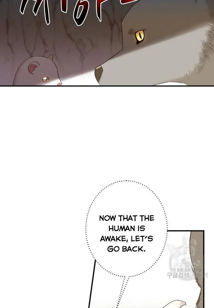 Death To The White Ferret Weasel Chapter 4 - page 10