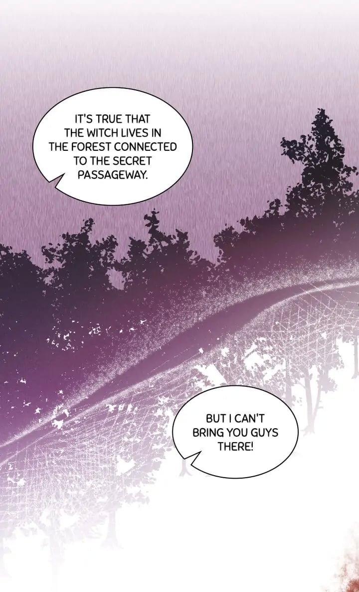 Whatever the Princess Desires! chapter 56 - page 28