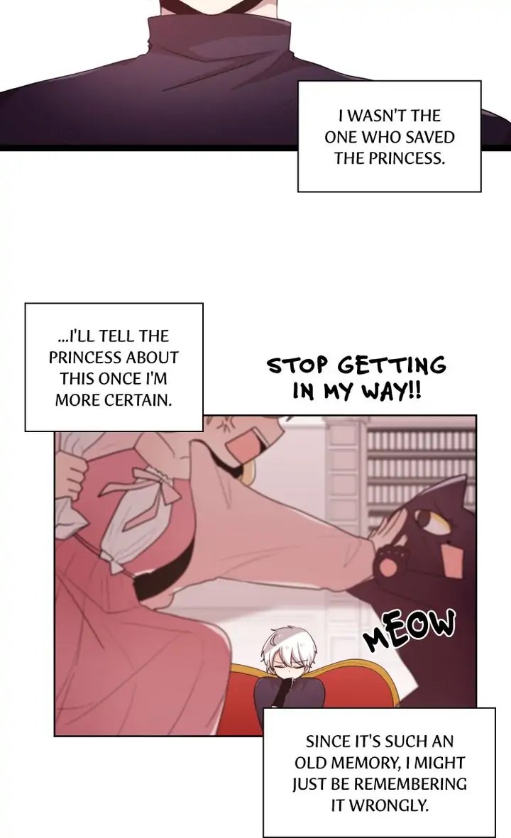 Whatever the Princess Desires! chapter 54 - page 27