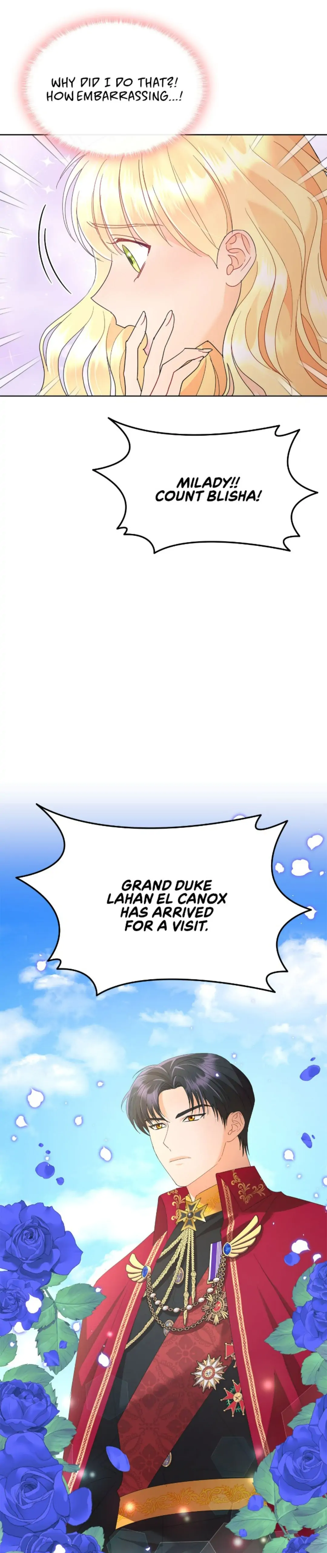 Overprotective Lady Chapter 25 - page 12