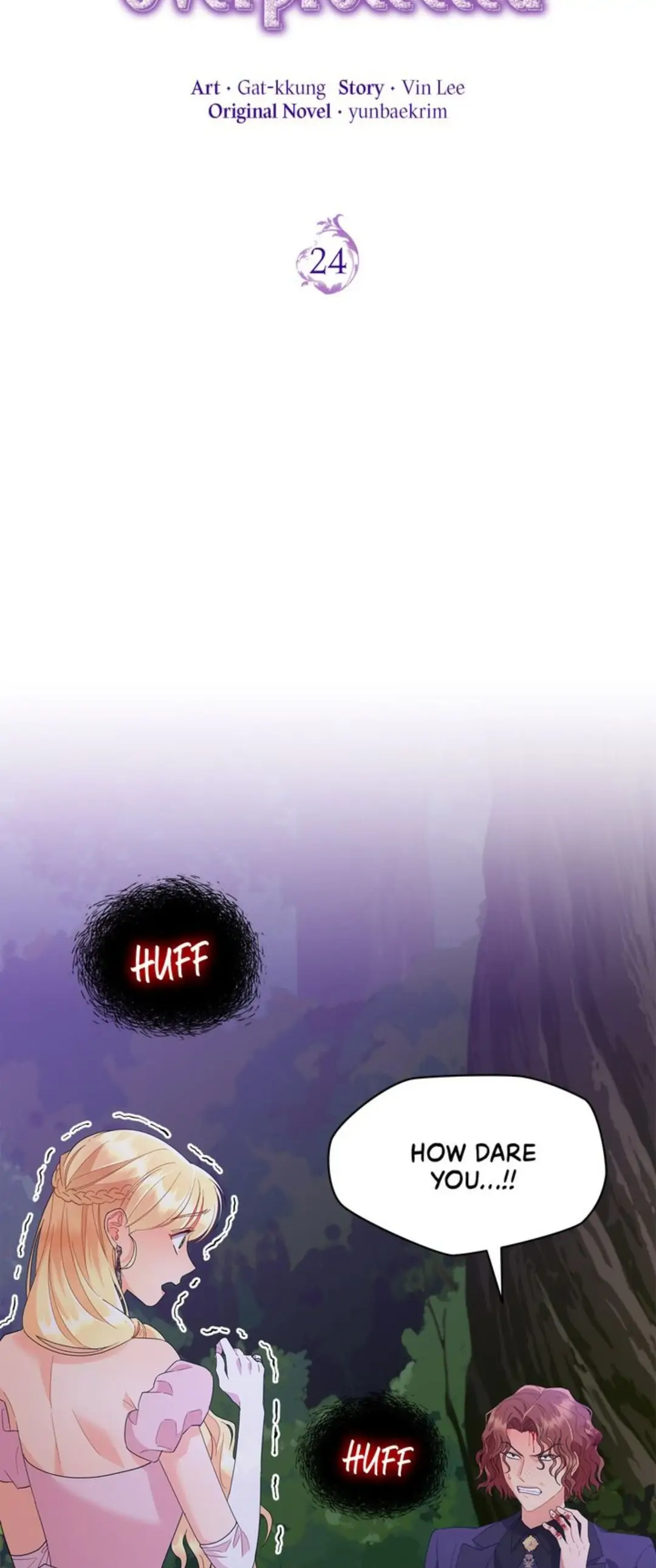 Overprotective Lady Chapter 24 - page 13