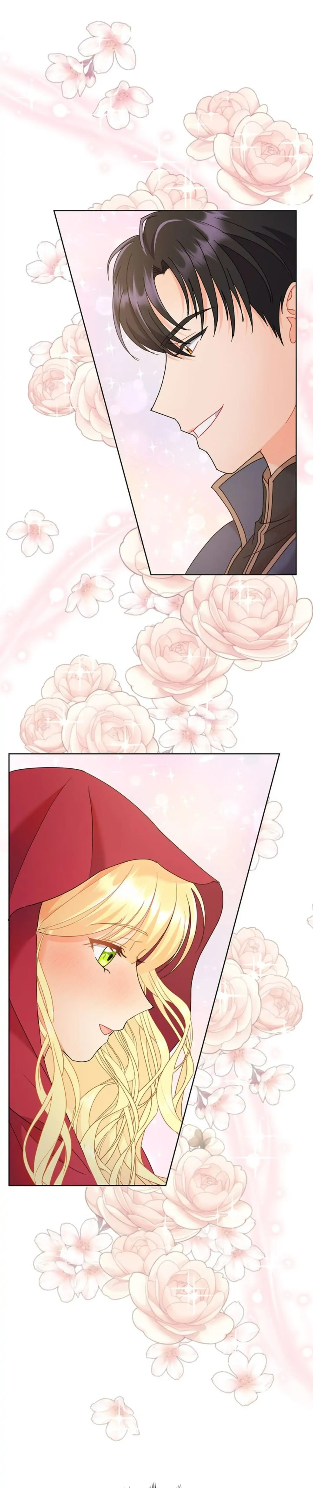 Overprotective Lady Chapter 19 - page 14