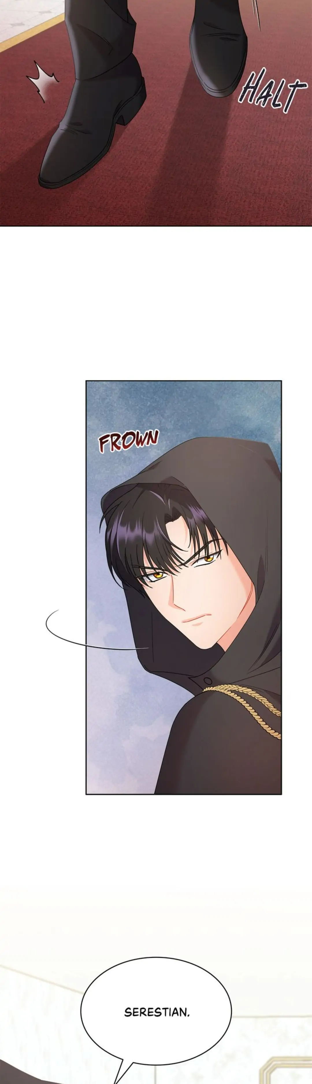 Overprotective Lady Chapter 16 - page 8