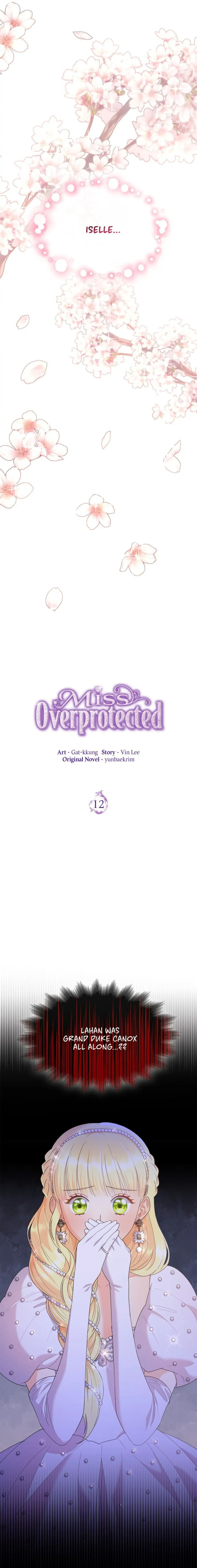 Overprotective Lady Chapter 12 - page 5