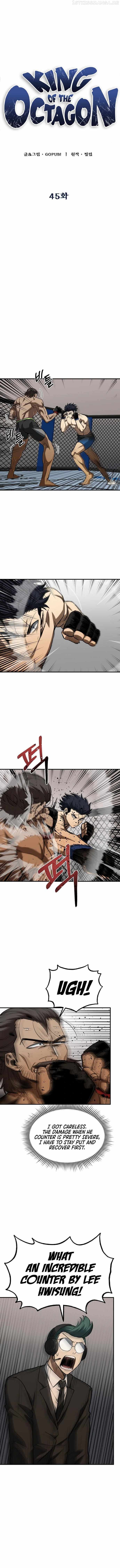 King of the Octagon Chapter 45 - page 3