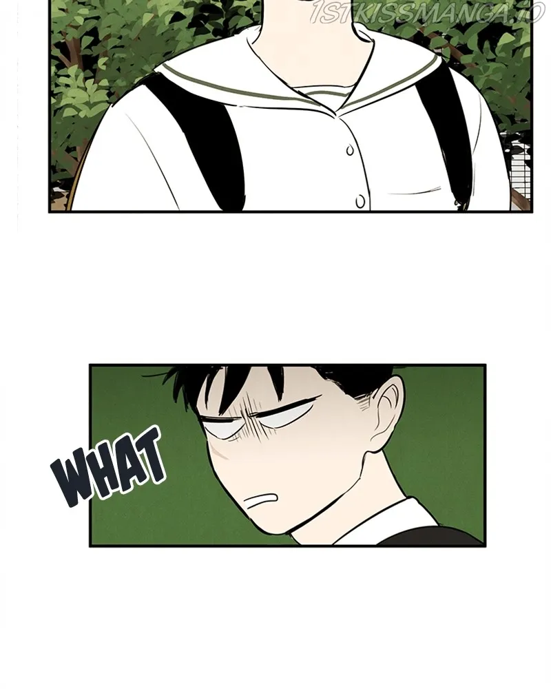 After School Lessons for Unripe Apples Chapter 74 - page 38