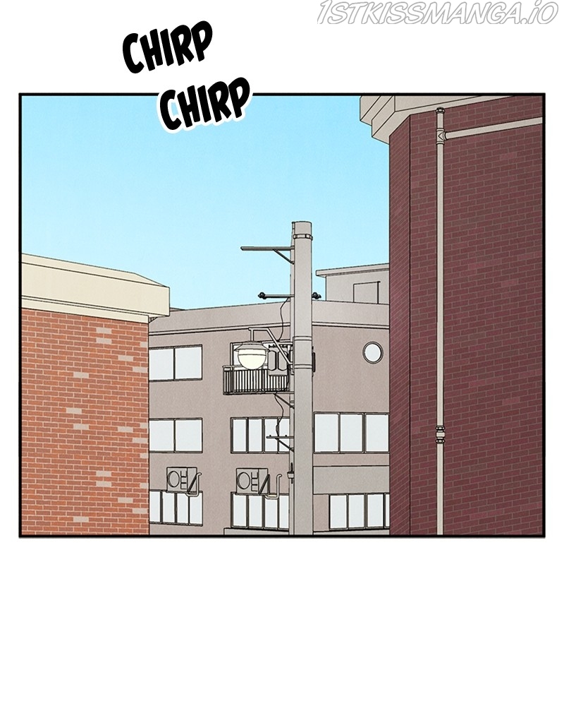 After School Lessons for Unripe Apples Chapter 67 - page 36