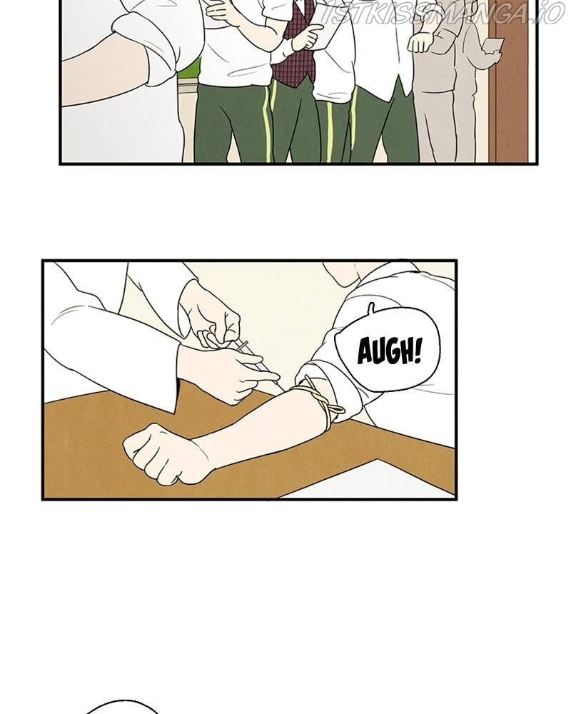 After School Lessons for Unripe Apples Chapter 44 - page 41