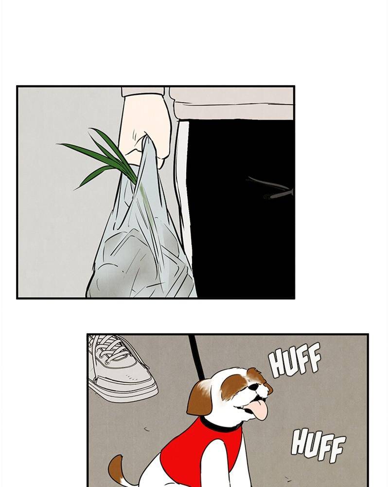 After School Lessons for Unripe Apples Chapter 18 - page 51