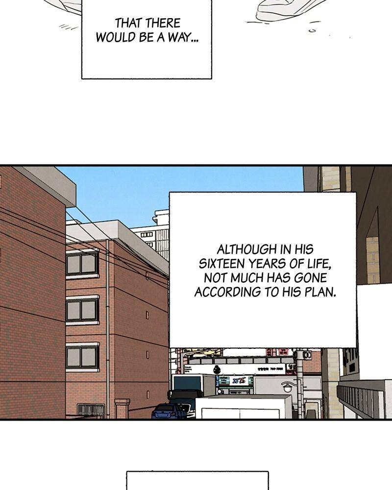 After School Lessons for Unripe Apples Chapter 6 - page 96