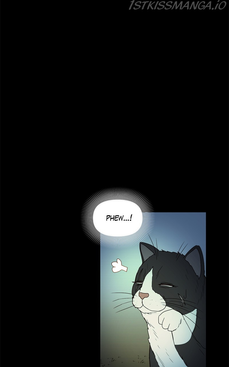 Tales of Sarimin the Jinn chapter 45 - page 43