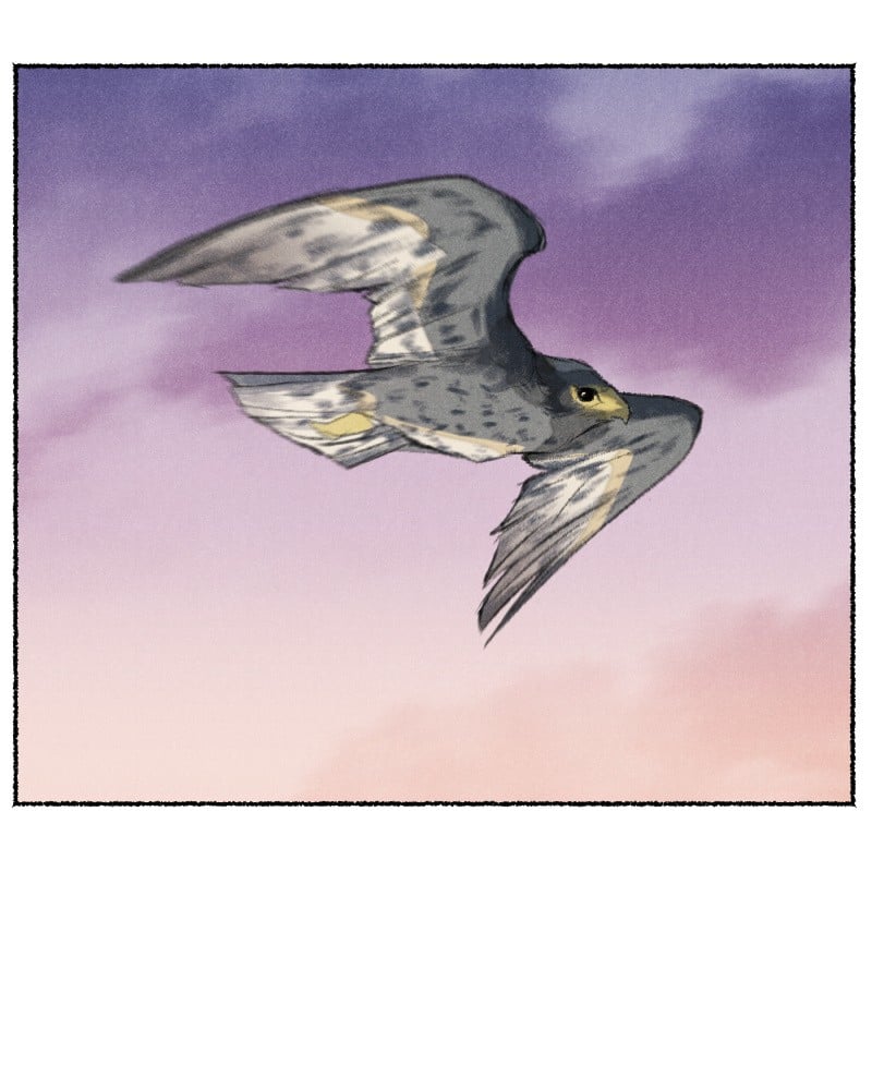 Stray Souls Chapter 71 - page 23