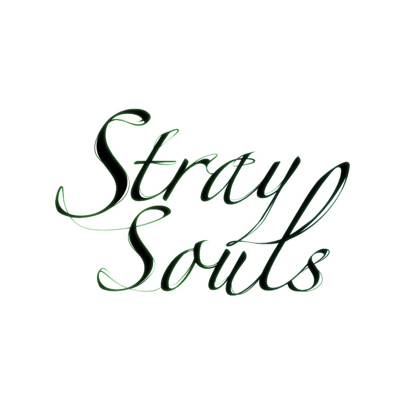 Stray Souls Chapter 26 - page 101
