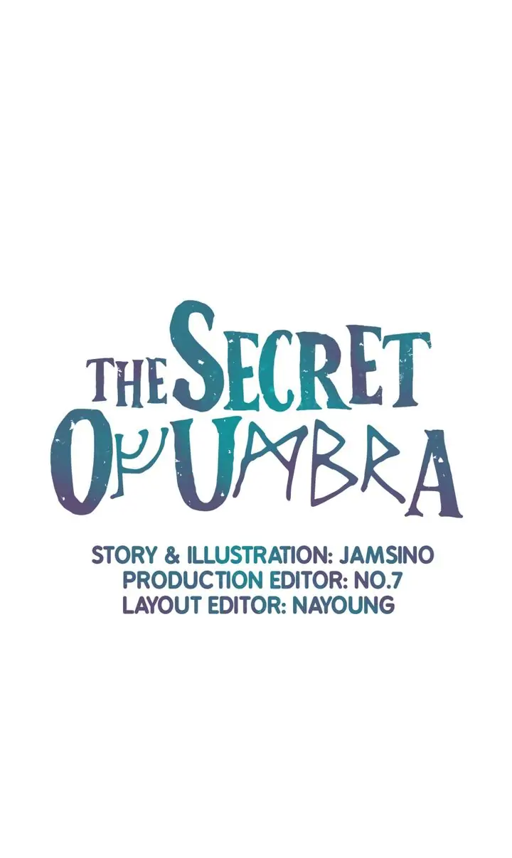 The Secret of Umbra Chapter 13 - page 1