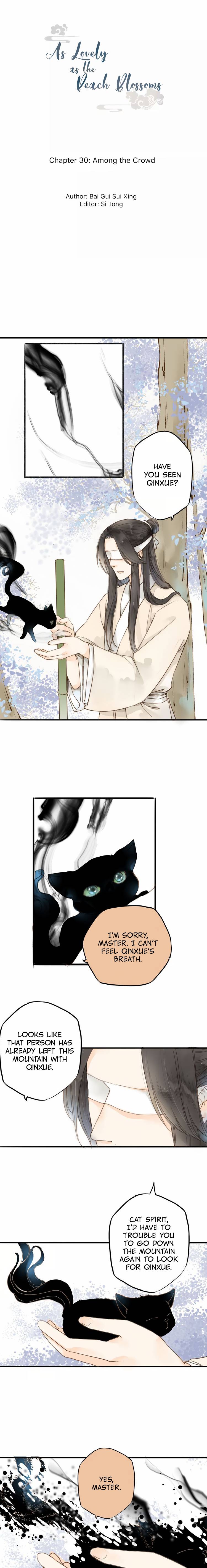 As Lovely as the Peach Blossoms chapter 30 - page 1