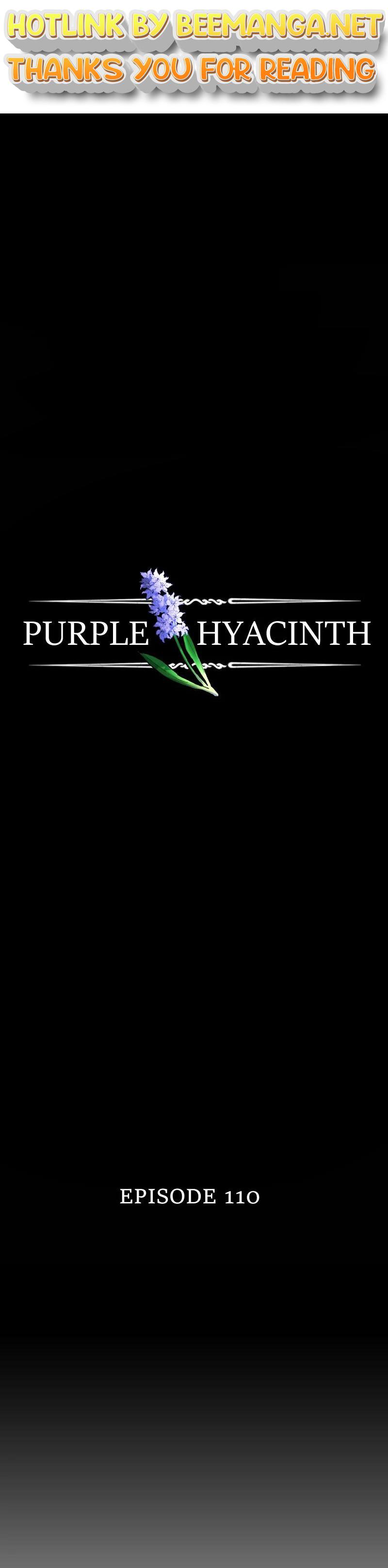 Purple Hyacinth Chapter 114 - page 1