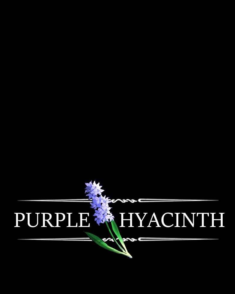 Purple Hyacinth Chapter 93 - page 85
