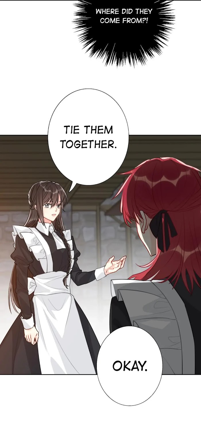 When I Traveled to Another World I Was Forced to Be the Princess of the City? chapter 51 - page 31