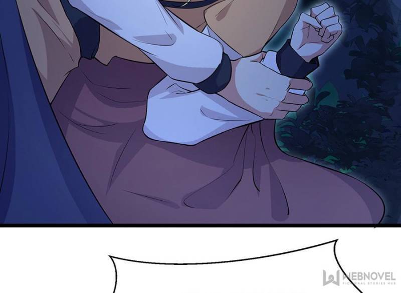 The Eunuch’s Consort Rules the World chapter 74 - page 27