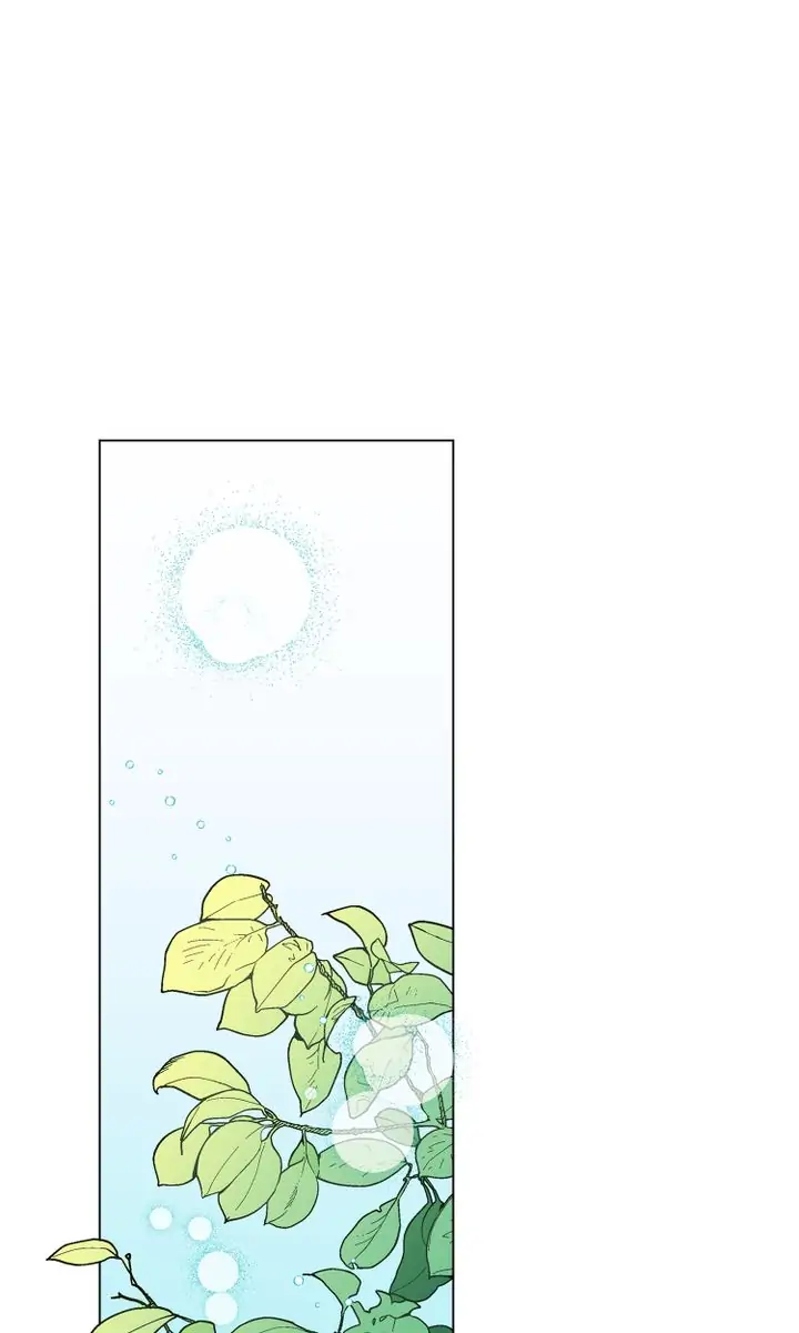My Accidental Country Life chapter 0 - page 1