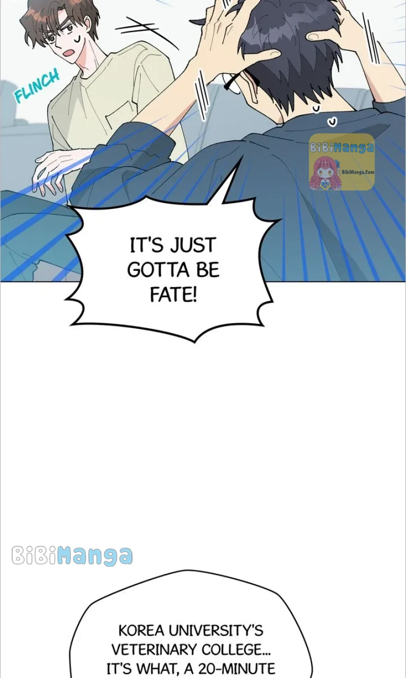 My Accidental Country Life Chapter 63 - page 8