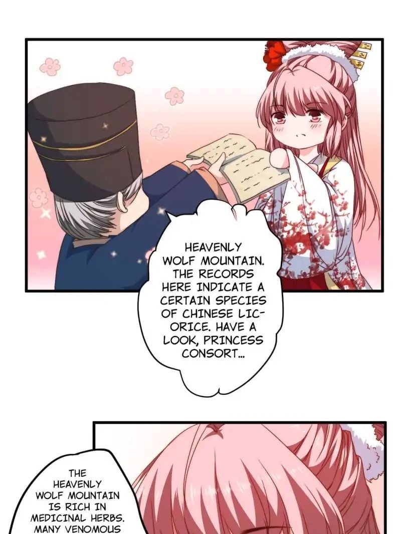The Glamorous Doctor Divorces Her Husband Chapter 8 - page 1