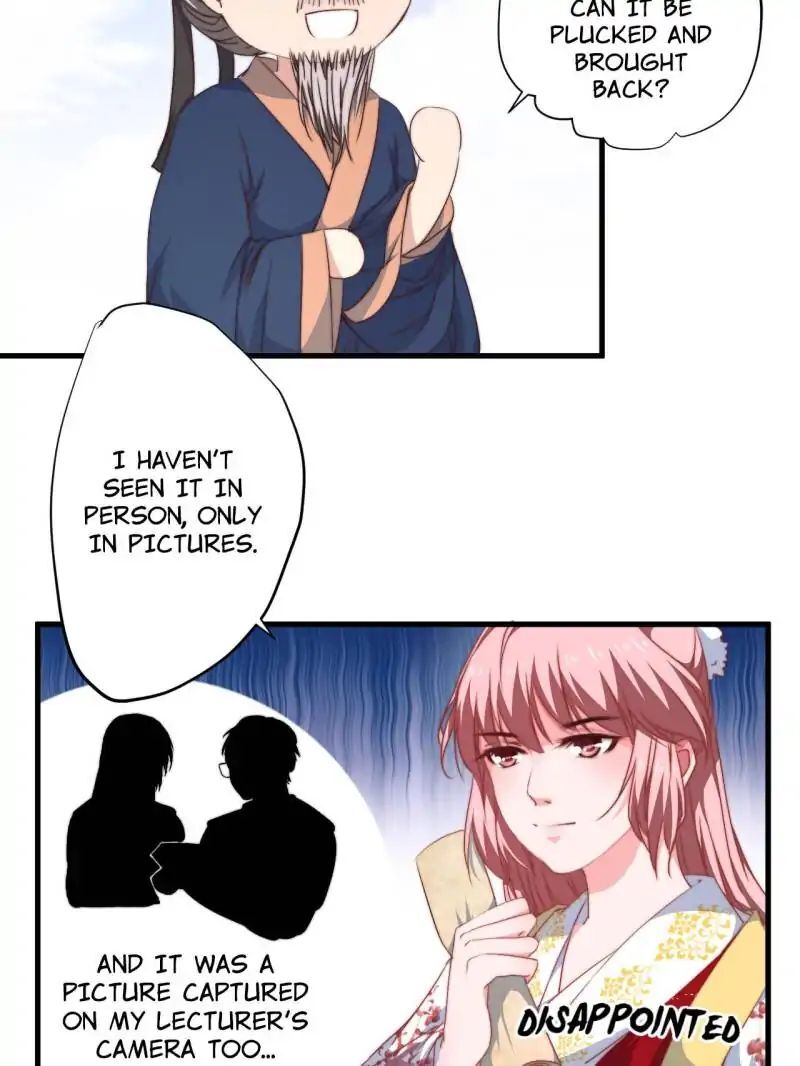 The Glamorous Doctor Divorces Her Husband Chapter 7 - page 37