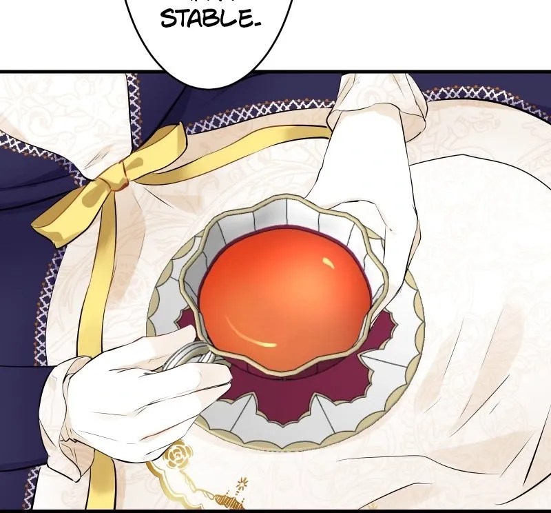 Nulliitas: The Half-Blood Royalty chapter 60 - page 15