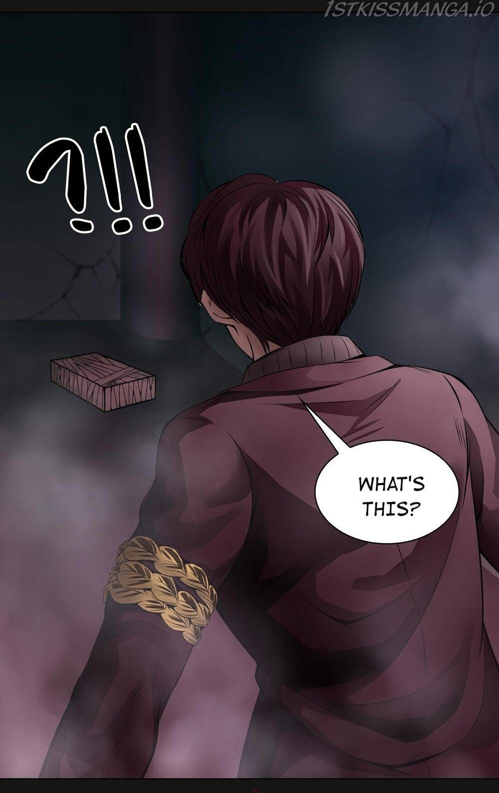 I’m a Human, but More of a Vampire Chapter 43 - page 17