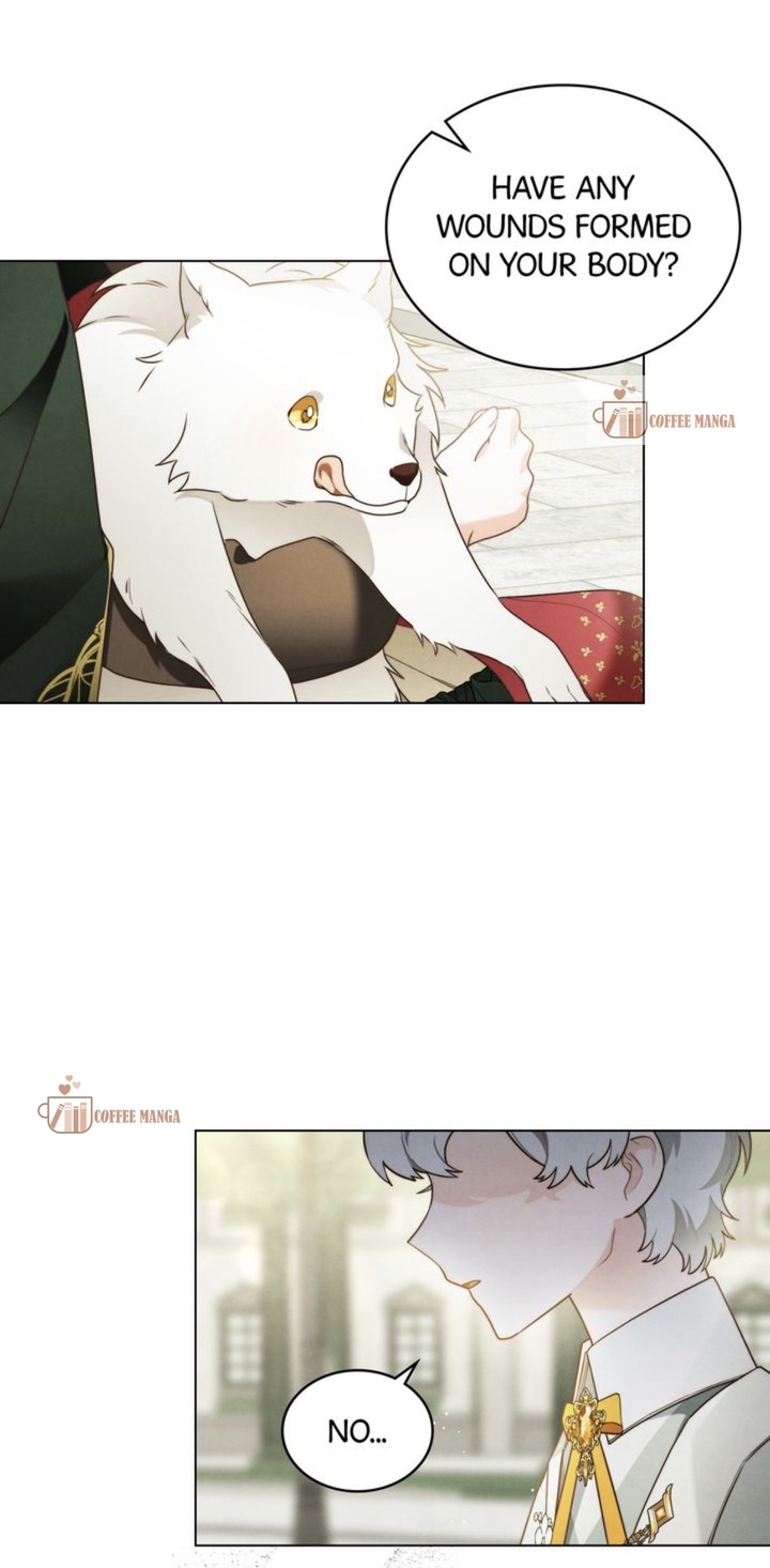 The Golden Light of Dawn Chapter 36 - page 11