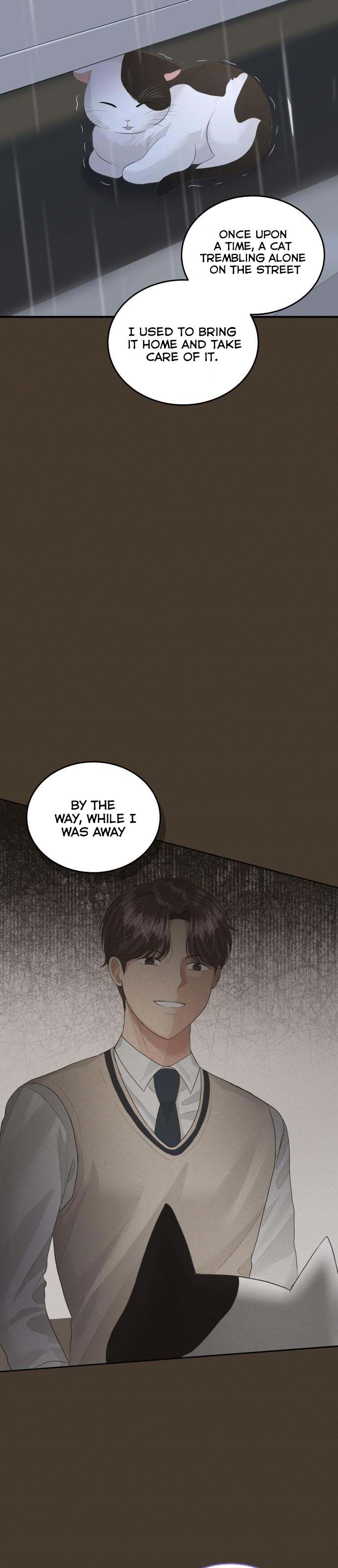 The Essence Of A Perfect Marriage chapter 49 - page 29