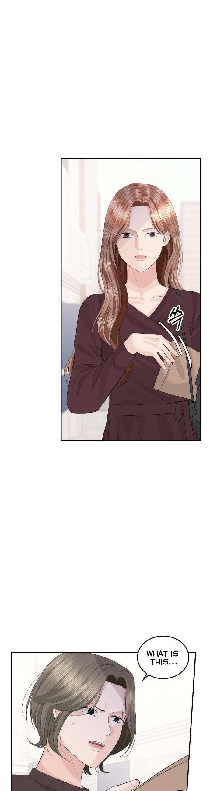 The Essence Of A Perfect Marriage chapter 46 - page 33