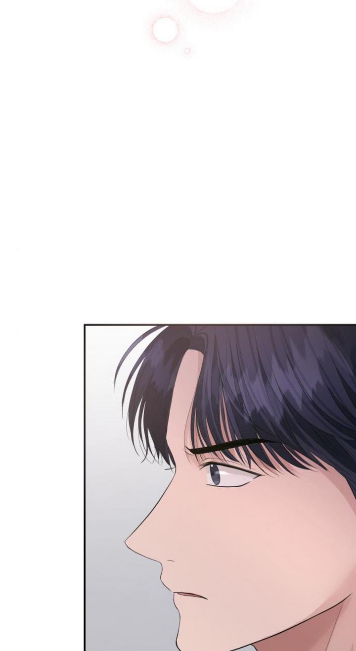 The Essence Of A Perfect Marriage chapter 39 - page 52