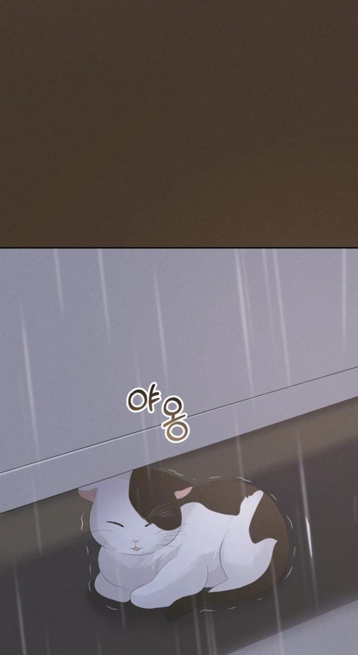 The Essence Of A Perfect Marriage chapter 39 - page 72