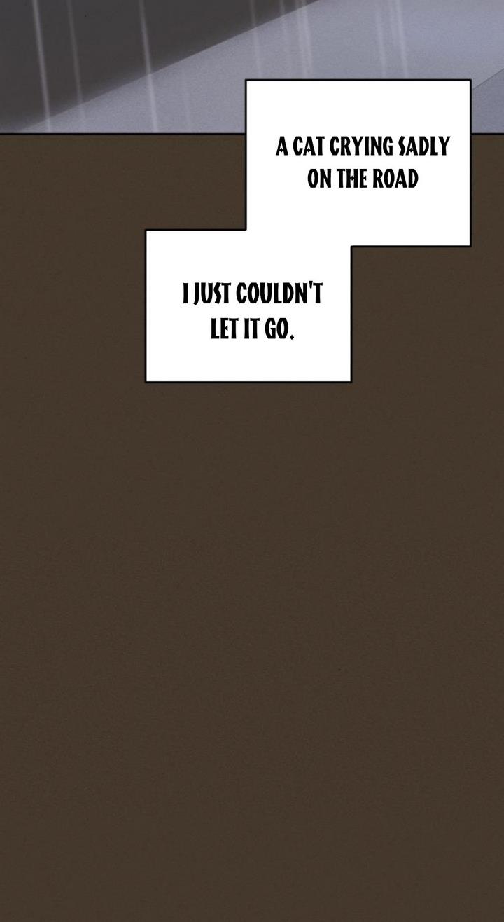 The Essence Of A Perfect Marriage chapter 39 - page 73