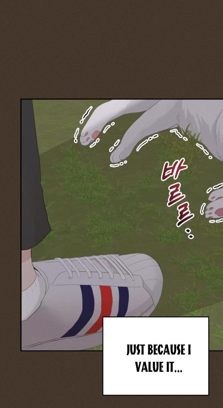 The Essence Of A Perfect Marriage chapter 39 - page 80