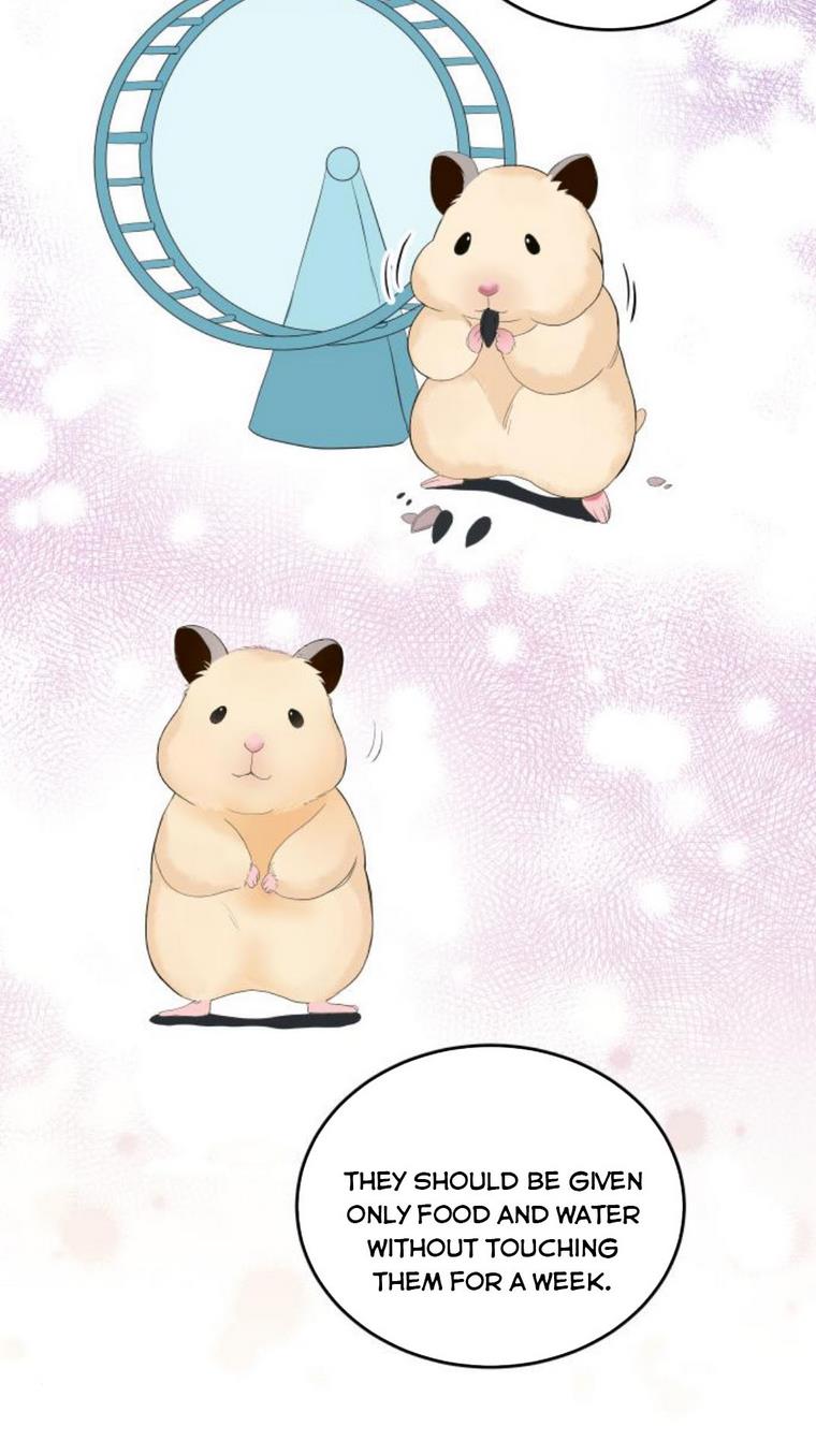 The Essence Of A Perfect Marriage chapter 38 - page 25