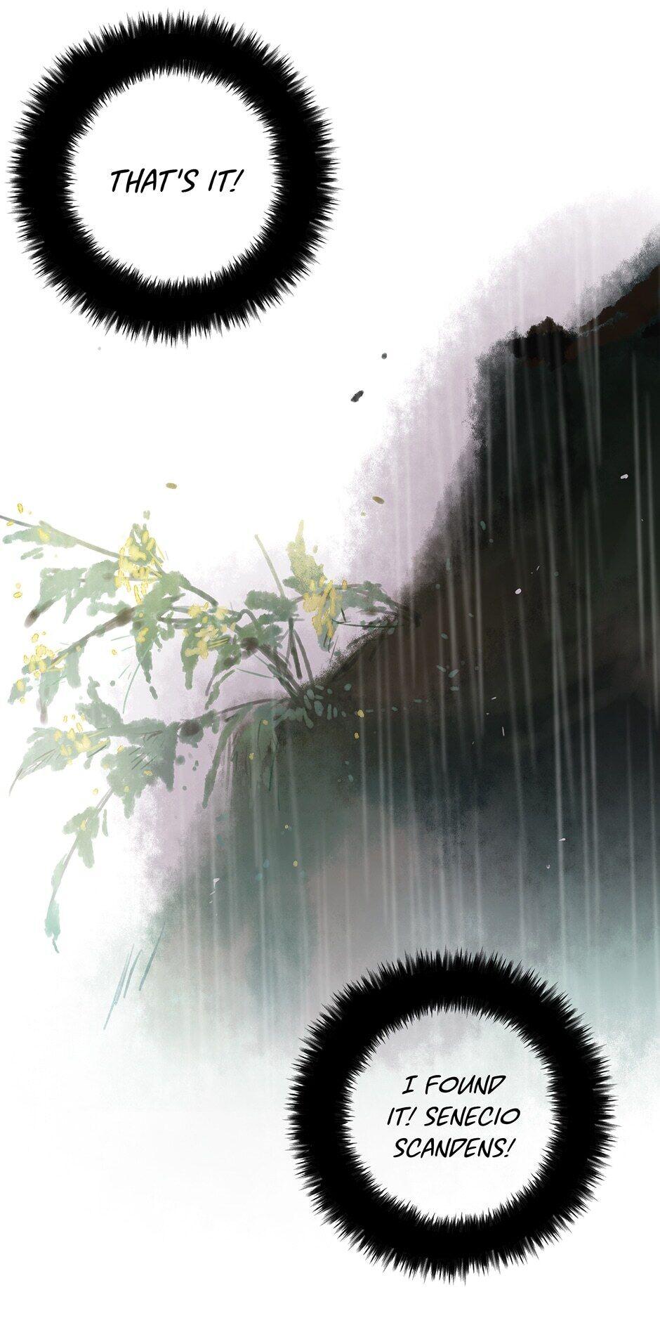 Thousand Endless Rains from Faraway Mountains Chapter 19 - page 5