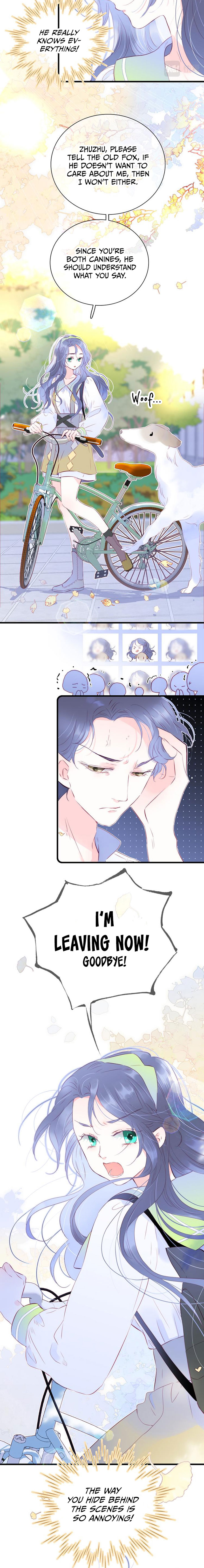 The Beauty Ran Away with The Hedgehog Chapter 24 - page 8